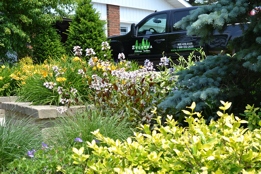 Zylstra Landscape Display